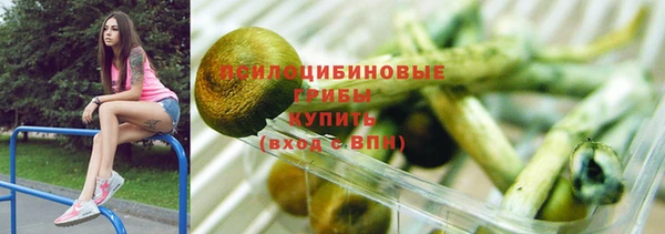 Альфа ПВП Вязьма