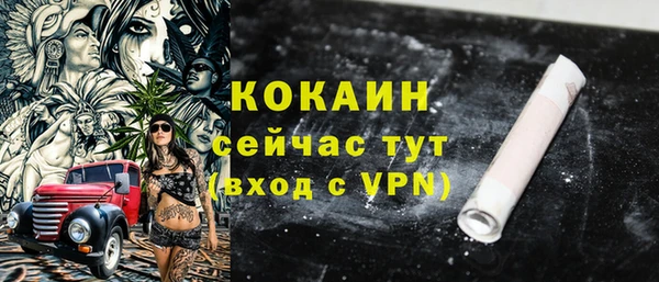 скорость Вяземский