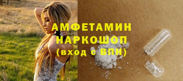 скорость Вяземский