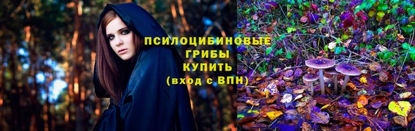 Альфа ПВП Вязьма