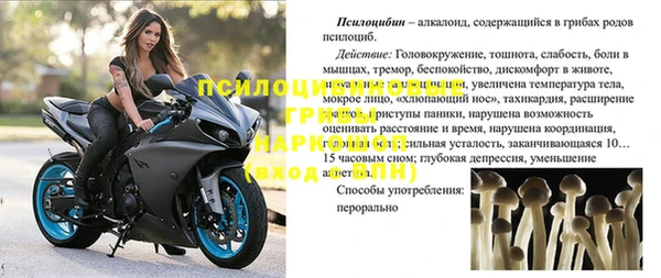 гидропоника Володарск