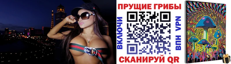 дарнет шоп Звенигово Галлюциногенные грибы Psilocybine cubensis